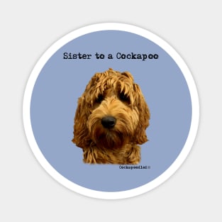 Cockapoo Dog Sister Magnet